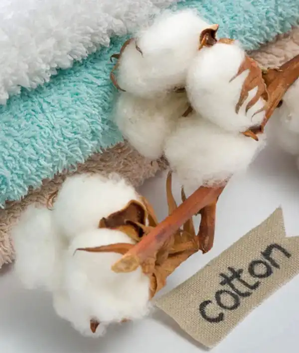 Cotton