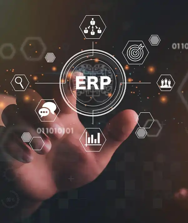 ERP Development
